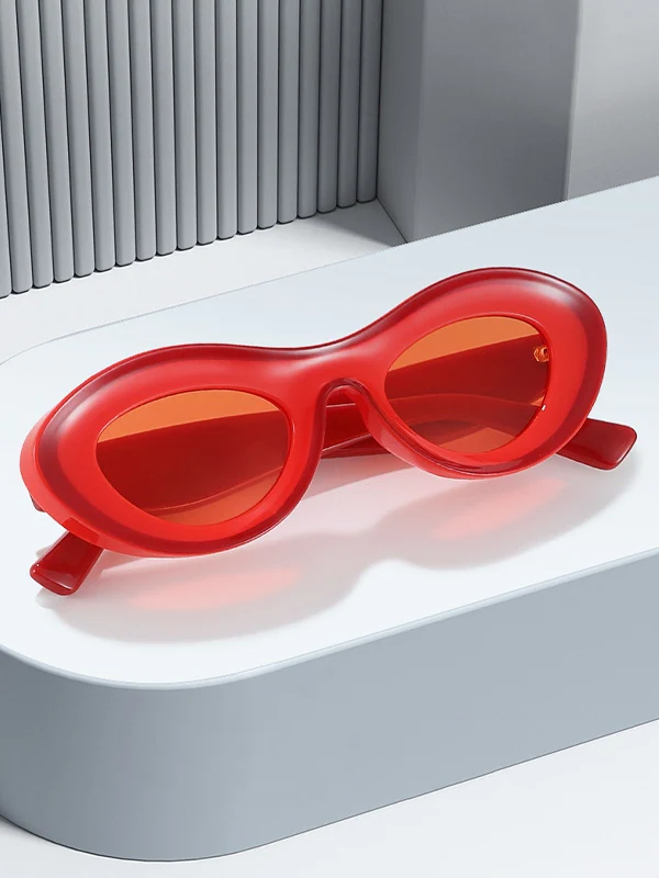 Contrasting Chunky Cat Eye Sunglasses - Image 4