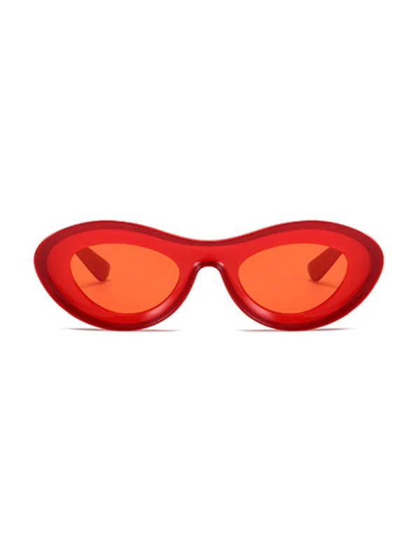 Contrasting Chunky Cat Eye Sunglasses - Image 7