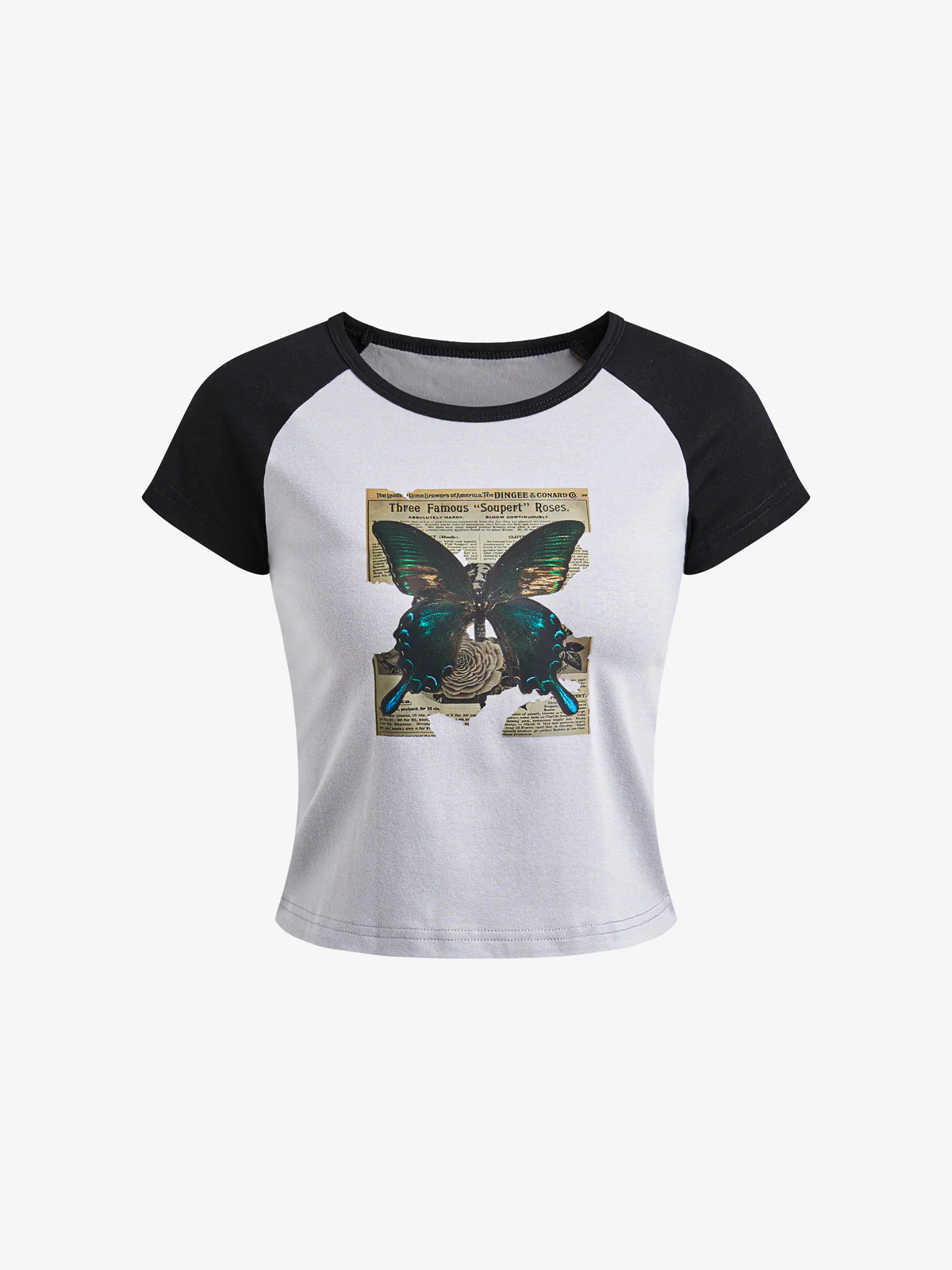 Vintage Butterfly Print Raglan Short Sleeve Tee - Image 5